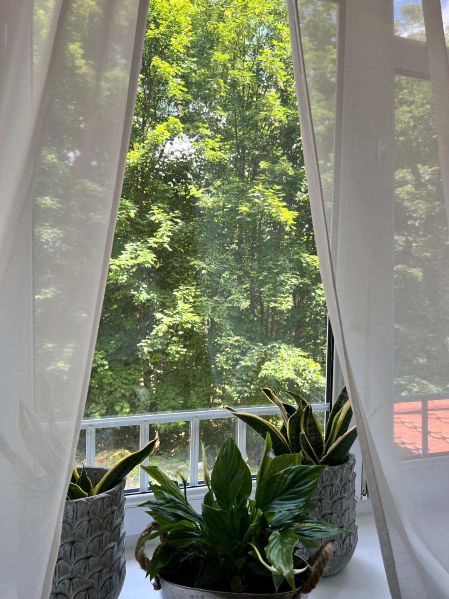 Willa Tusculum Świeradów-Zdrój Extérieur photo
